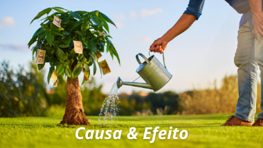 Conceito de causa e efeito aplicado às vendas, com árvore gerando frutos financeiros